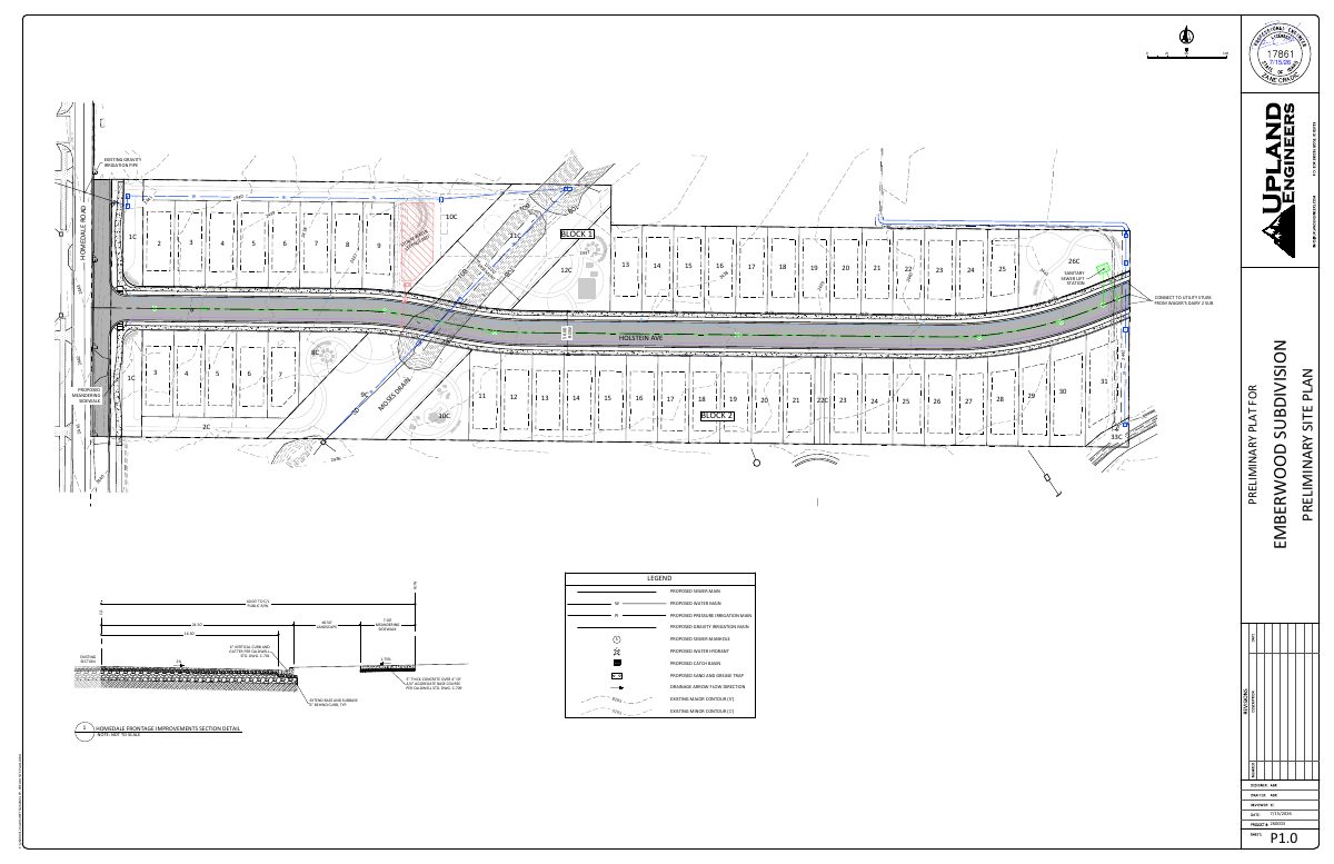 Site plan: 46-lot single-family subdivision with central park proposed on 9 acres