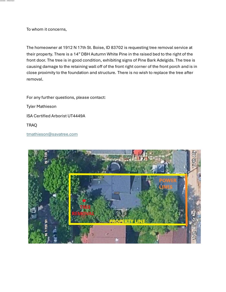Site plan: Removal of 14-inch pine tree at historic home sought