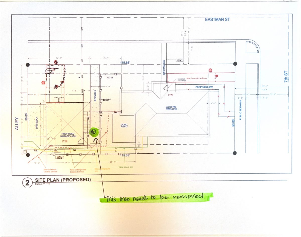 Site plan: Tree removal approved on small residential lot