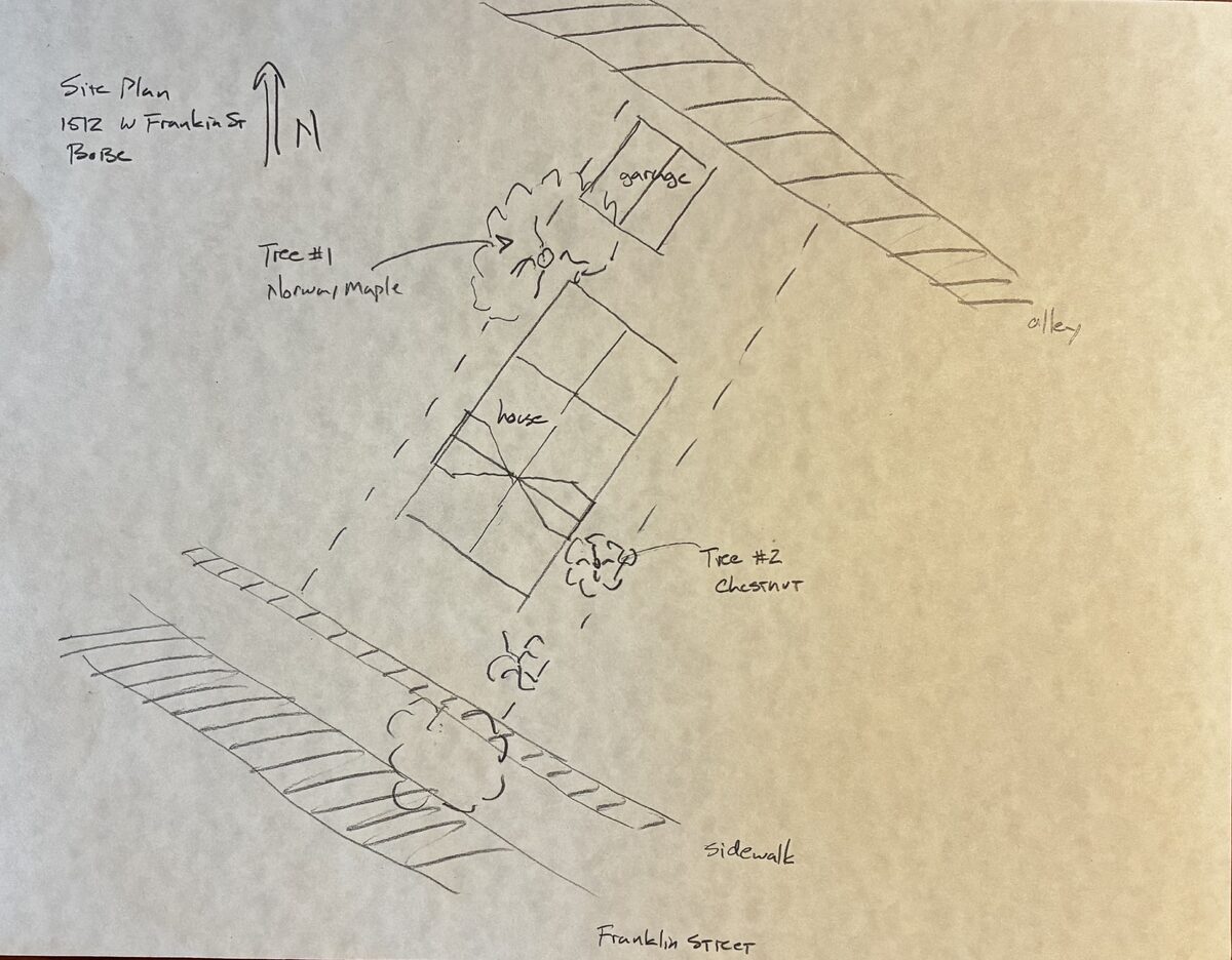 Site plan: Tree removal approved for historic district home site