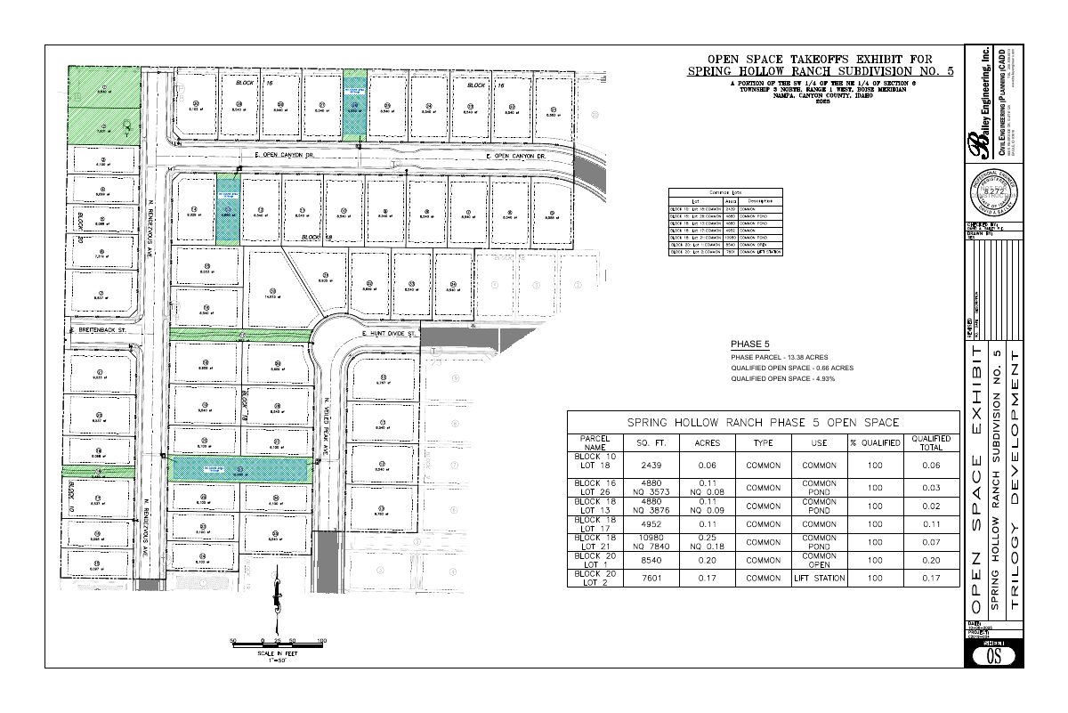 Site plan: 51-home subdivision phase approved with conditions on 13-acre site