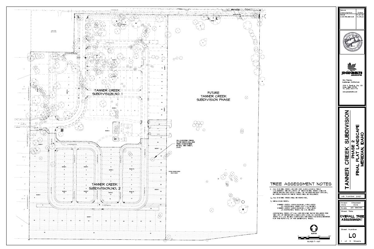 Site plan: Final plat approved for 76-lot residential subdivision on about 10 acres