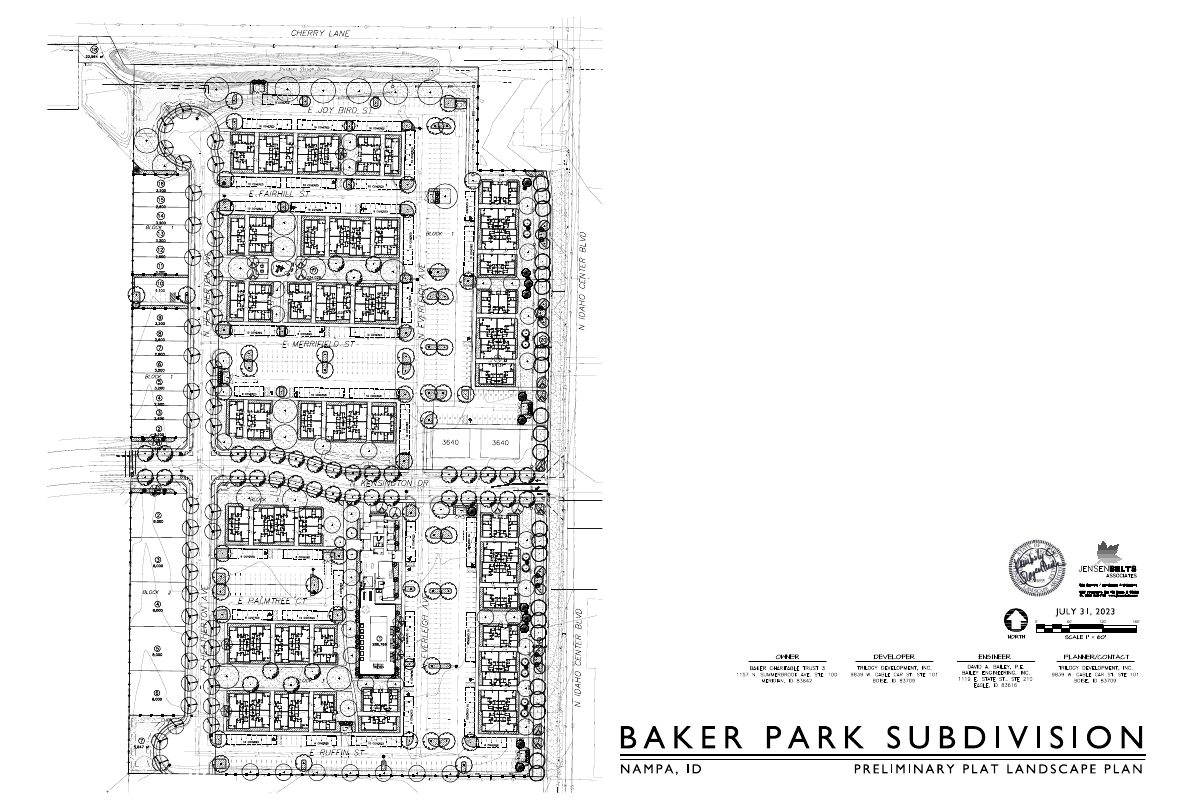 Site plan: 21-unit mixed-use development with apartments and townhomes approved with conditions